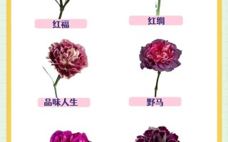 19朵鲜花小花束寓意着什么（19朵花的寓意 花语）