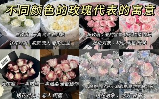 9枝玫瑰鲜花花束寓意什么（9支玫瑰花束图片包法）