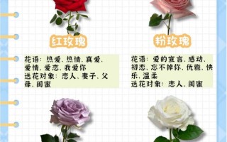 鲜花花语图（鲜花花卉图片大全及花名）