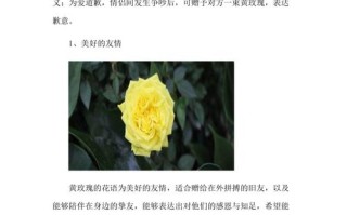 鲜花花束和花语一样吗为什么（鲜花和寓意）