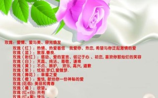 35支红玫瑰鲜花寓意（25支红玫瑰花语）