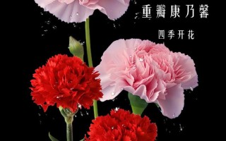 19枝鲜花的寓意是什么（19朵鲜花花语）