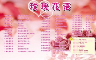 6朵玫瑰鲜花花束寓意是什么（6朵玫瑰代表什么意思玫瑰花）