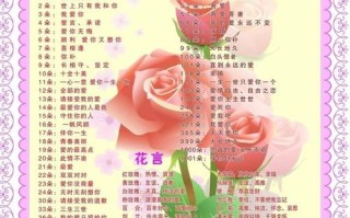 6朵红玫瑰鲜花寓意（6朵红玫瑰的含义）