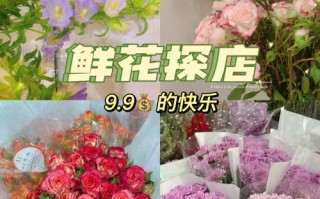 240朵鲜花代表什么寓意（送花210朵什么意思）