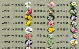 送给朋友的鲜花花语和寓意（送朋友鲜花花语大全）