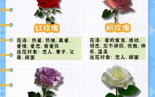 12朵鲜花是什么寓意（12朵玫瑰花的意思）