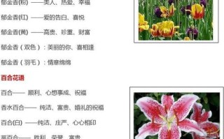 鲜花花语和花名的区别在哪（鲜花及名字）