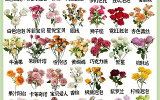 5朵鲜花什么寓意（5朵鲜花什么寓意呢）