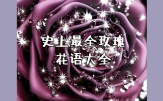 19支鲜花寓意（花语19朵代表什么）