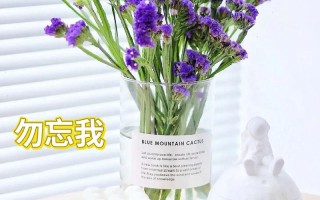 爱意永恒鲜花花语（花语永恒的爱是什么花）