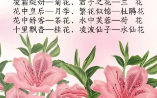 送宝宝鲜花花束的寓意和花语（送给宝宝的花束）