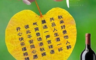 早上好鲜花花语（早上好的鲜花短视频）