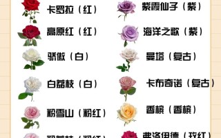 52朵鲜花寓意（52朵鲜花代表什么意思）