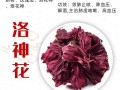 洛神鲜花花语是什么（洛神 鲜花）