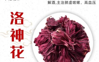 洛神鲜花花语是什么（洛神 鲜花）