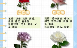 52朵绿玫瑰鲜花花语及寓意（52朵绿玫瑰鲜花花语及寓意是什么）