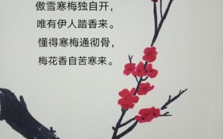 奥梅鲜花花语（奥梅花的含义）