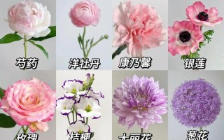 圆形礼盒鲜花花语（圆形的礼盒）