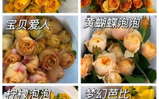 折色多头泡泡鲜花花语（多头泡泡醒花视频）