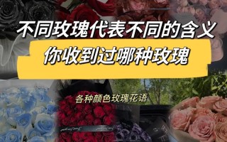 25支玫瑰鲜花代表的寓意（25支玫瑰什么意思）