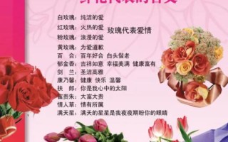 13支鲜花的寓意是什么（13支鲜花的寓意是什么呢）