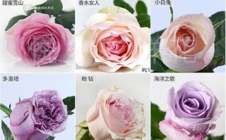 3朵鲜花小花束寓意（3朵鲜花小花束寓意着什么）