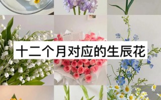 38支鲜花寓意（39支花的意义是什么）