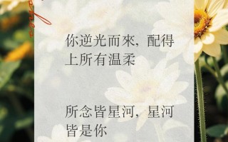 鲜花花语祝福文案（鲜花花语祝福文案短句）