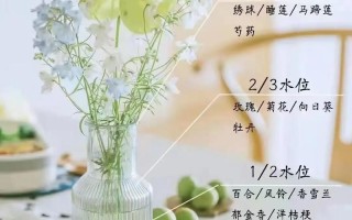 给女生送花的讲究（给女孩子送花）