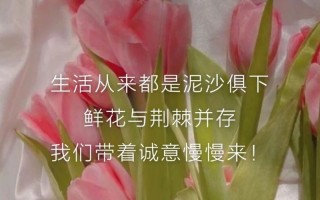 鲜花盛开的美好寓意（鲜花盛开的背后的简短句子）