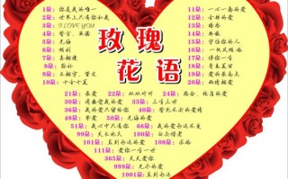 11朵鲜花寓意着什么呢（11朵鲜花图片）