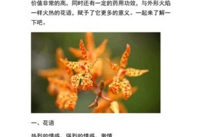 鲜花花草花语（鲜花花语及禁忌）