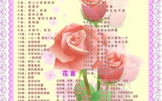 19朵情人节鲜花花语及寓意（情人节19朵玫瑰花）