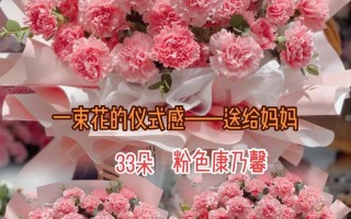 33朵康乃馨鲜花的寓意（康乃馨13朵代表什么）