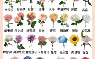 山东送花的讲究（山东节礼怎么送）