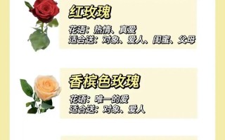 33朵红玫瑰鲜花寓意着什么（33朵红玫瑰是什么寓意）