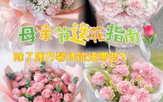 新年快乐鲜花花语和寓意（新年快乐鲜花花语和寓意是什么）