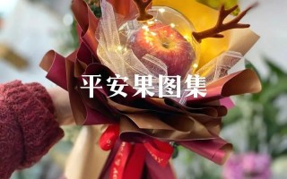 2022新年插什么鲜花寓意好（小孩尾椎骨痛）