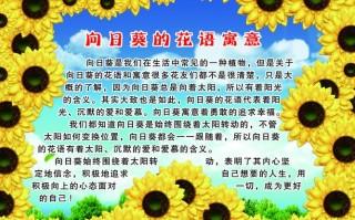 15支鲜花代表什么寓意（15支玫瑰花是什么意思）