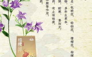 长白山鲜花花语（长白山山花节）