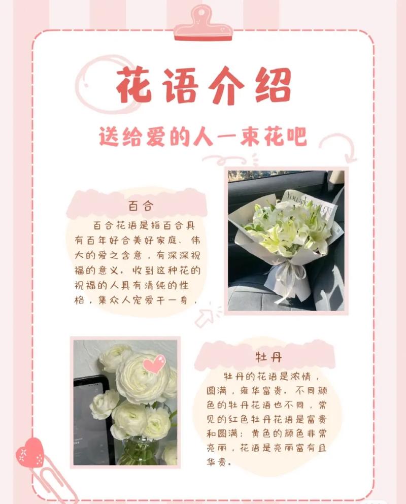 不同场合送花的讲究（不同场合送花的讲究一样吗）-第4张图片-花花知道网