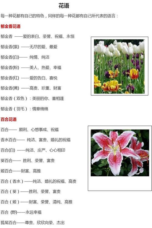 11朵鲜花寓意着什么含义（11朵花语是什么意思）-第3张图片-花花知道网