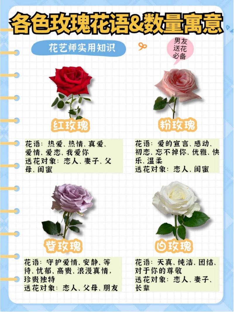 6朵鲜花代表的寓意是什么（六朵鲜花）-第6张图片-花花知道网