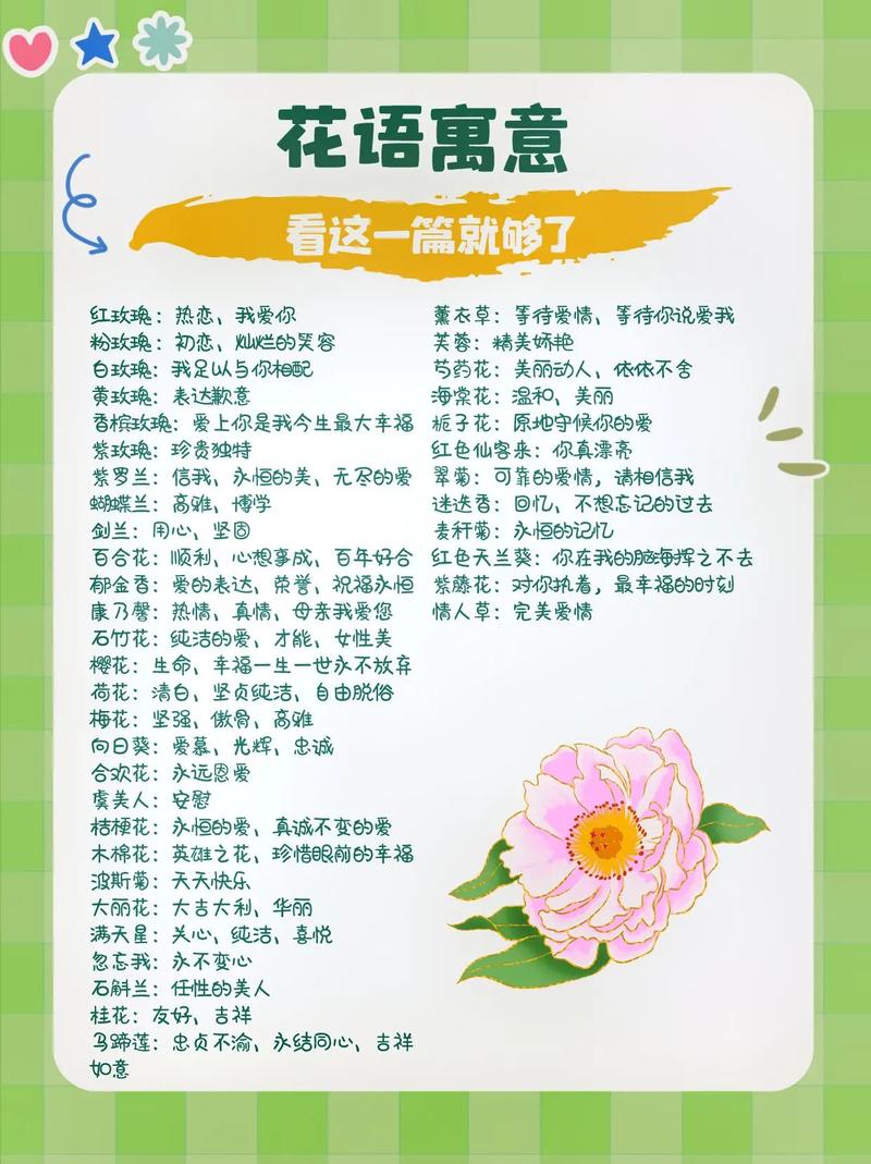 6朵鲜花代表的寓意是什么（六朵鲜花）-第8张图片-花花知道网