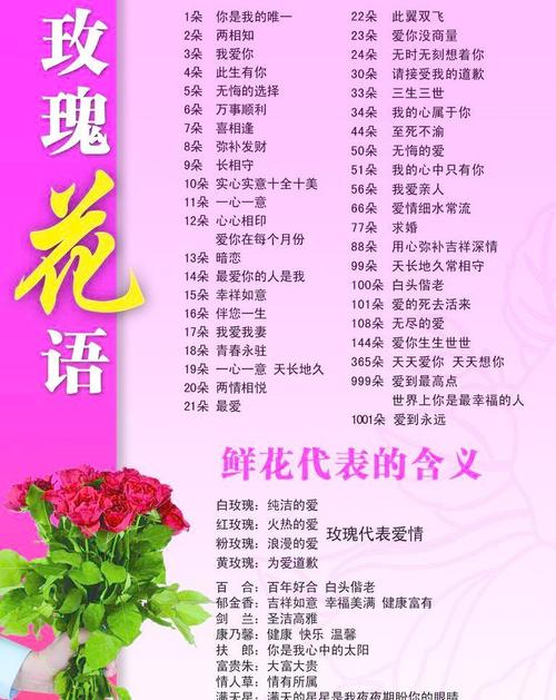 鲜花花语大全寓意带图片（鲜花的寓意是什么意思）-第7张图片-花花知道网