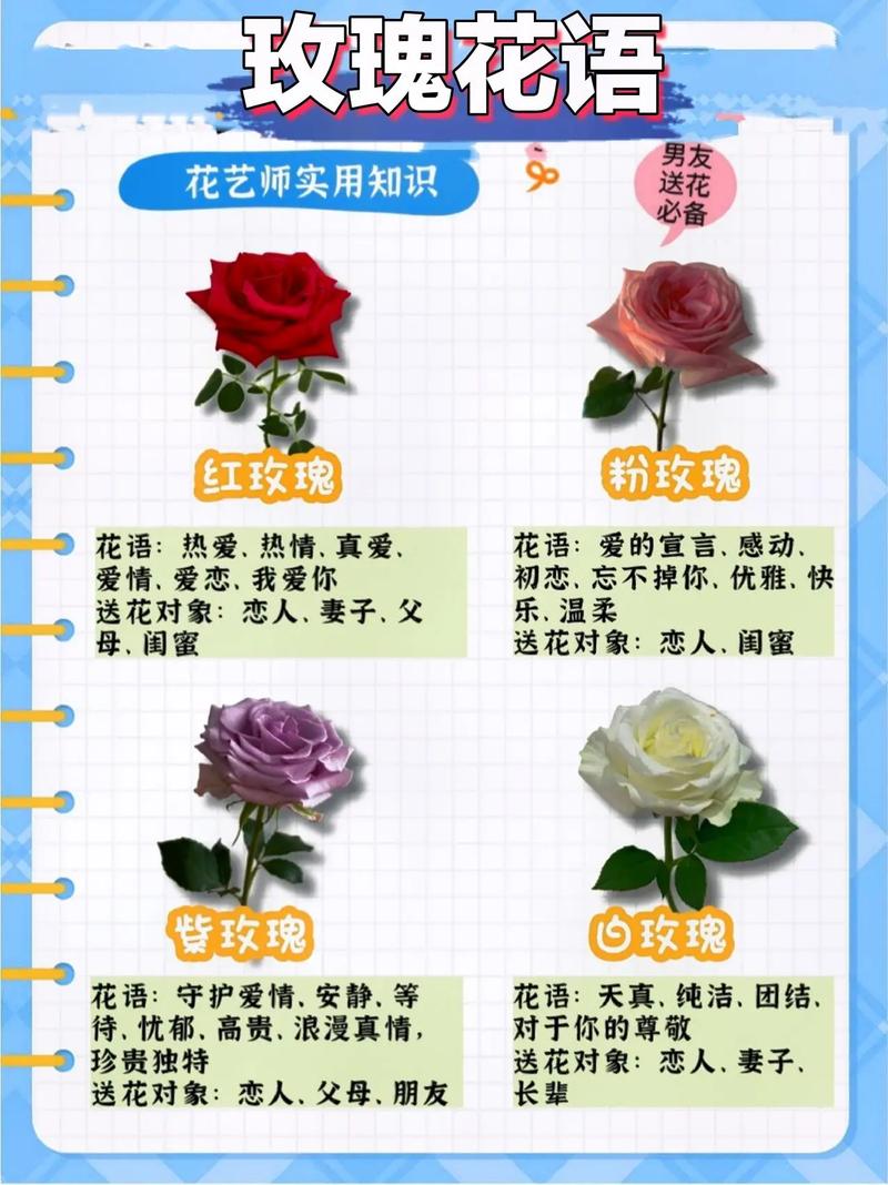 过年送花的讲究（过年送礼送花好吗）-第2张图片-花花知道网