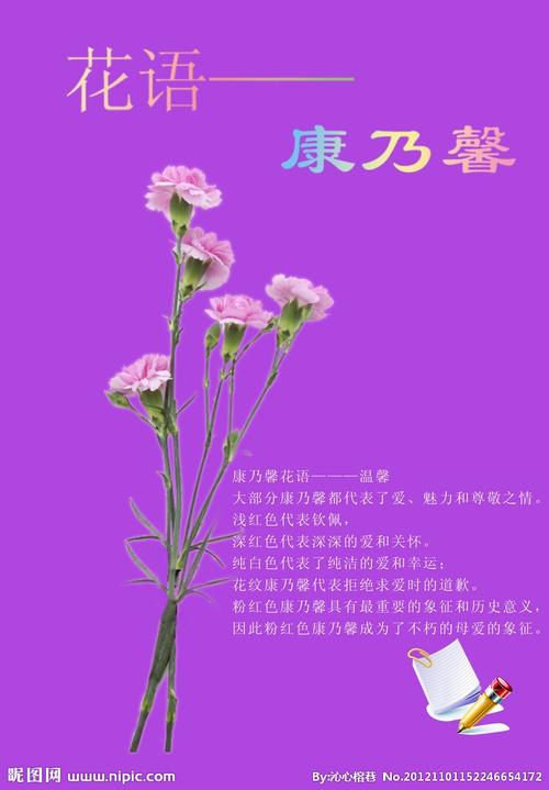 33支鲜花花语（花语大全33朵玫瑰）-第3张图片-花花知道网