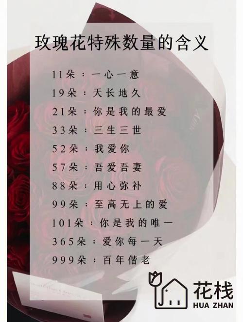 12束鲜花的寓意（花束12朵什么意思）-第1张图片-花花知道网