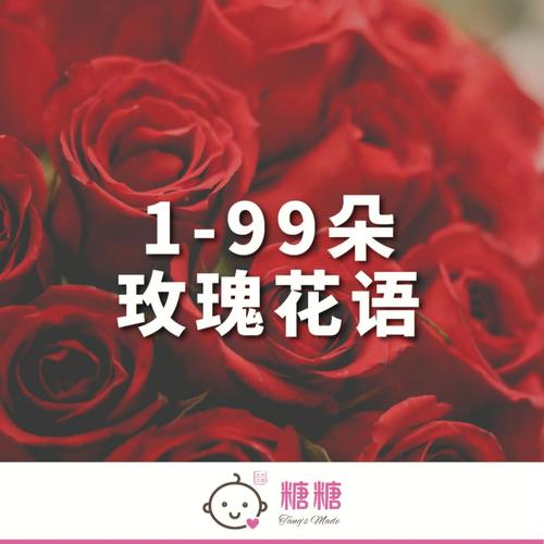 9枝鲜花寓意（送花9朵什么意思）-第4张图片-花花知道网